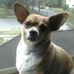 Jackie Longden - Facebook