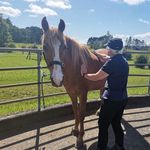 Jackie Longmore-Procter - @jackie__procter - Instagram