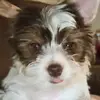 Jackie - @jackielongoria0 - TikTok