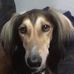 Jackie Loveridge - Facebook