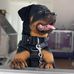 Jake Mole Loveridge - Facebook