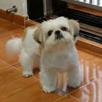 Jackie Luk - @luk.jackie - Instagram
