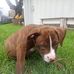 Jackie Luke - Facebook