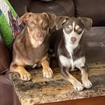 Jackie Gray Luker - @jluker70 - Instagram
