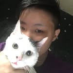 Jackie Lung(混血貓) - @jackielung4 - Instagram