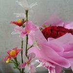 Jackie Luong - @jackie6a - Instagram