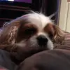 jackie - @jackie_lux - TikTok