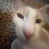 Jackie - @jackieluxz - TikTok