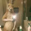 Jack Macias - @jack.macias - TikTok