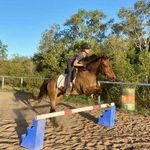 🐴 𝗝𝗮𝗰𝗸𝗶𝗲 𝗠𝗮𝗰𝗸𝗲𝗻𝘇𝗶𝗲 🐴 - @aussie.equine_ - Instagram