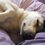 Jackie Mackenzie - @jackiemackenzie72 - Instagram