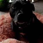 Jackie Mackenzie - @jackie.mackenzie.792 - Instagram