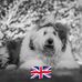 Jackie Mackenzie - Facebook