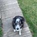 Jackie MacPhee - Facebook