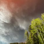 Jake Maddock - @jackie_maddock04 - Instagram