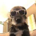 Jack Manley - @jack.manley07 - Instagram