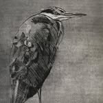 Jackie Manley - @jackiemanley_art - Instagram