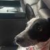 Jackie Marburger - Facebook