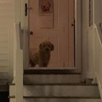 Jackie Marion Howard - @jackiehoward9664 - Instagram