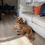 Jackie McCabe - @jackiemc73 - Instagram