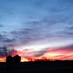 Jackie Mccormack - @jmccormack3 - Instagram