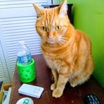 Jackie Mcfadden - @jackiemcfadden66 - Instagram