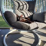 Jackie McGhee - @jackiemcghee66 - Instagram