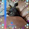 jackiemcghee800 - @jackiemcghee800 - TikTok