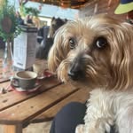 Jackie McGowan - @jackiemcgoo1966 - Instagram