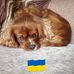 Jackie Mc Kee - Facebook