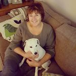Jackie McKee - @jackiemckee53 - Instagram