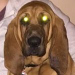 Jackie Mckee - @jackie.mckee.77 - Instagram