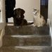 Jackie McKee - Facebook