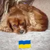 jackiemckee0 - @jackiemckee0 - TikTok