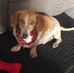 Jackie Mcwhorter - Facebook