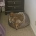 Jackie Mcwhorter - Facebook