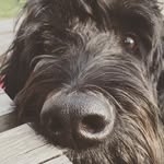 Jackie Millar - @jackie.millar - Instagram