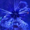 JACK Milton - @jack.milton145 - TikTok