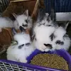 jackiemilton1 - @jackie.milton5 - TikTok