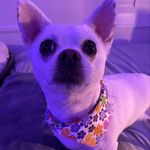 Jackie Mims - @msyellow13 - Instagram