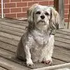 Jackie Minton Frederick - @jackie.minton.fre - TikTok
