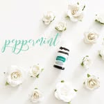 Jackie Mitchell - @drops_of_peppermint - Instagram