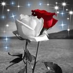 Jackie Mitchell Bolwerk - @jackie11064 - Instagram
