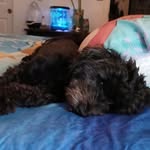 Jackie Mosher - @jackie.mosher.39 - Instagram