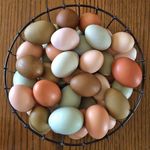 Jackie Mosher - @lileggbox - Instagram