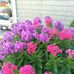 Jacqui Mosher - Facebook