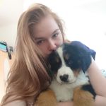 Jackie 🐾 - @jackie_mountaindog - Instagram