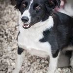 Jackie Mountain - @mountain.jackie - Instagram