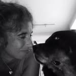 Jackie T. Noto - @jjtvnl6468 - Instagram