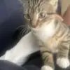 Jack Nutter - @jack.nutter10 - TikTok